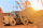 about colchard mining